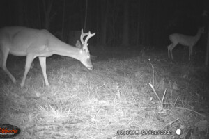 Buck entering Skull Reaper site